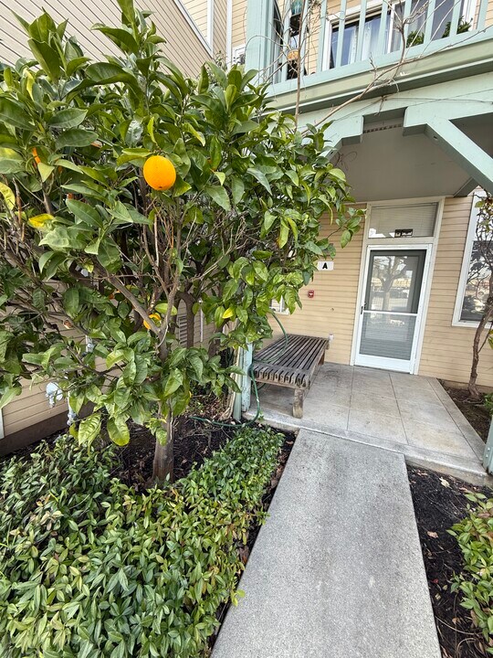 161 Blossom Cir, Unit A in San Mateo, CA - Building Photo