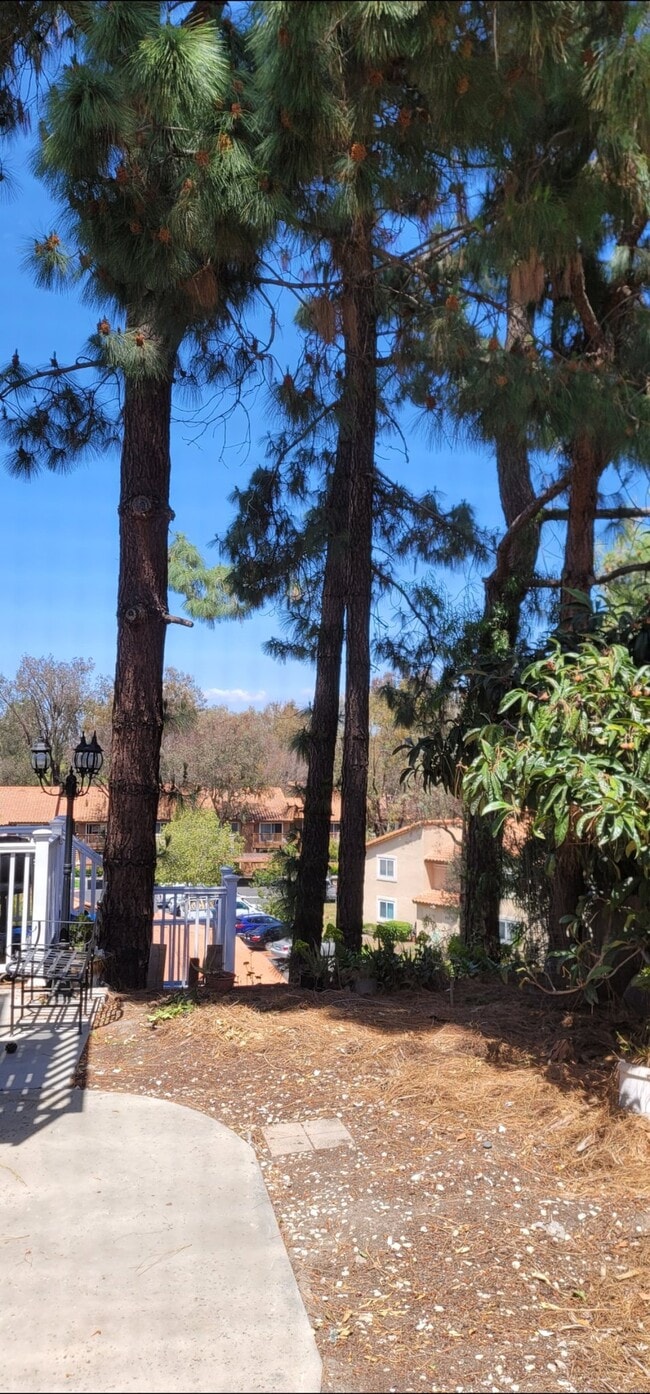 property at 15598 Paseo Ajanta