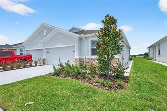 31463 Paper Birch St in Wesley Chapel, FL - Building Photo - Building Photo