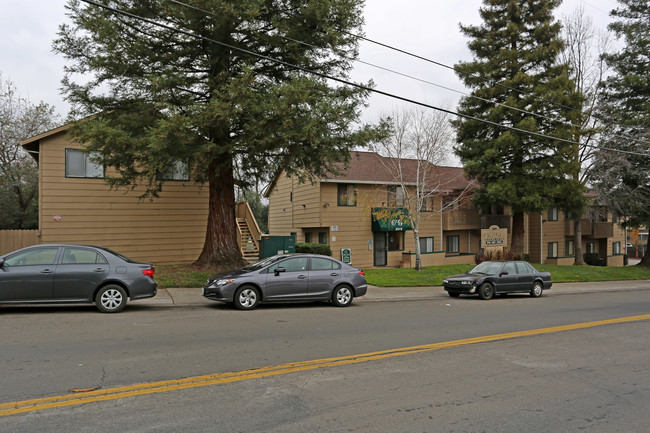 Olive Glen Apartments in Carmichael, CA - Building Photo - Building Photo