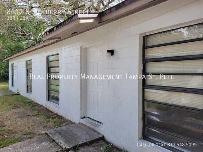 8617 N Mulberry St in Tampa, FL - Building Photo - Building Photo