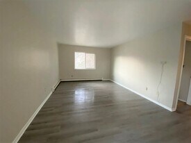 4357 N Chestnut St in Colorado Springs, CO - Building Photo