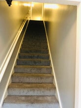 7220 Madison St, Unit 7 in Forest Park, IL - Building Photo - Building Photo