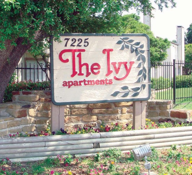 The Ivy Apartments in Dallas, TX - Building Photo - Building Photo