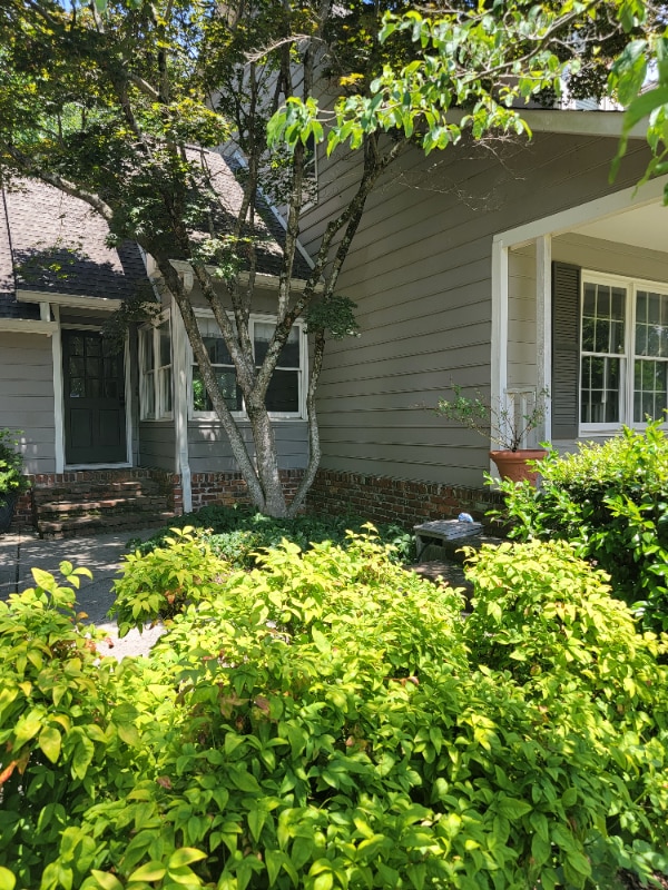712 E Fox Den Dr in Knoxville, TN - Building Photo - Building Photo