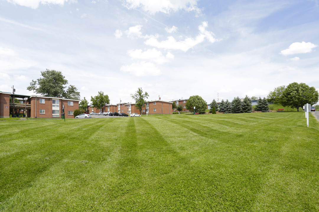 Timberline Apartments in Morgantown, WV - Building Photo