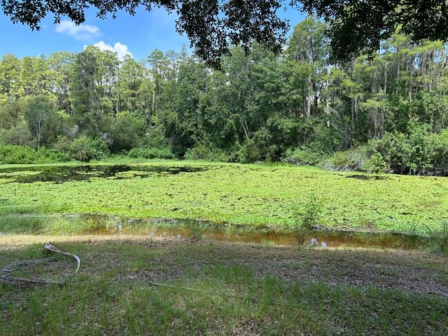4401 Longshore Dr in Land O Lakes, FL - Building Photo - Building Photo