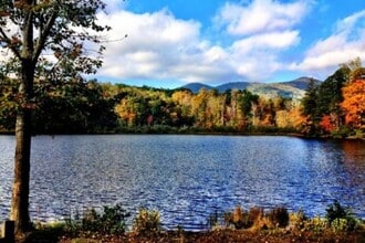 100 Beech St in Black Mountain, NC - Building Photo - Building Photo