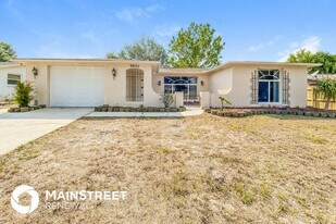 9025 Collage Ln in Port Richey, FL - Building Photo