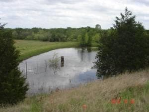 68 Dale Cove in Dale, TX - Building Photo - Building Photo