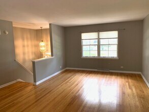 520 Spruce Dr in Naperville, IL - Building Photo - Building Photo