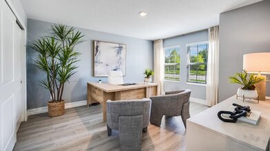 28407 Grassland Rnch Ln in Wesley Chapel, FL - Building Photo - Building Photo