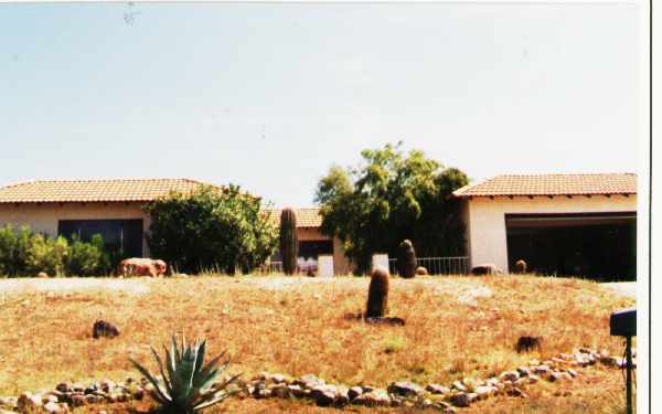 12405 N Fountain Hills Blvd in Fountain Hills, AZ - Foto de edificio