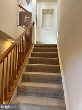 3507 Ellery Cir in Falls Church, VA - Building Photo - Building Photo