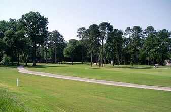 16020 Fountainview Dr in Montgomery, TX - Building Photo - Building Photo