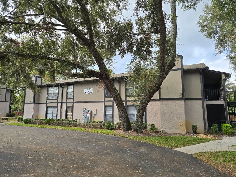 3948 Tumble Wood Trl in Tampa, FL - Building Photo