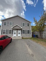 18-20 Pine Grove St in Springfield, MA - Building Photo