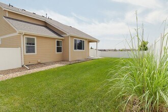 383 Mount Bross Ave in Severance, CO - Building Photo - Building Photo