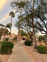 10929 E Yucca St in Scottsdale, AZ - Building Photo - Building Photo