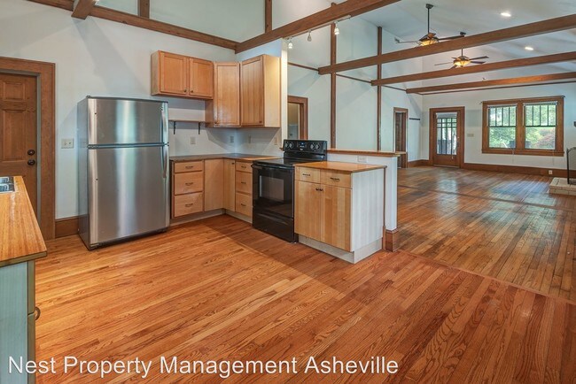 127 Flint St in Asheville, NC - Building Photo - Building Photo