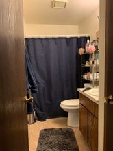 4832 Basswood Dr in Loveland, CO - Building Photo - Building Photo