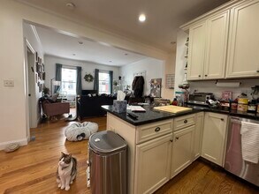 20 Armstrong St, Unit 1 in Boston, MA - Building Photo - Building Photo