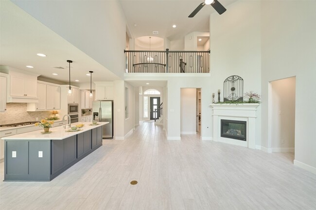 237 Patina Sorrel Dr in Montgomery, TX - Building Photo - Building Photo