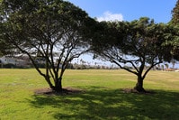 Point Loma Heights