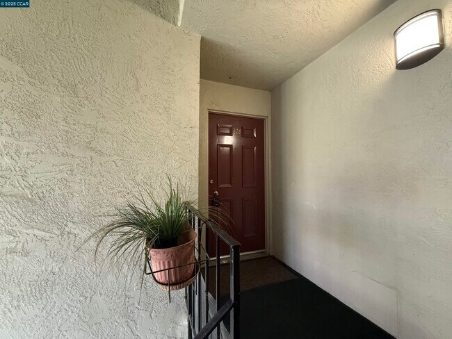 2564 Walnut Blvd in Walnut Creek, CA - Building Photo - Building Photo