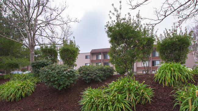 Martinez Hillside in Martinez, CA - Foto de edificio - Building Photo