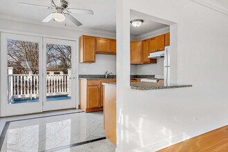 4386 Woodland Ave-Unit -2 in Western Springs, IL - Building Photo - Building Photo