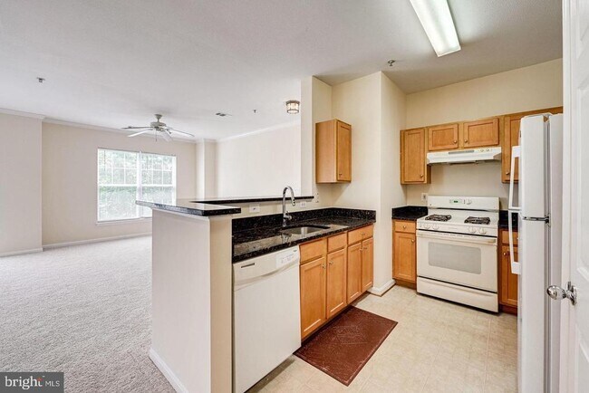 5115 Travis Edward Way in Centreville, VA - Building Photo - Building Photo