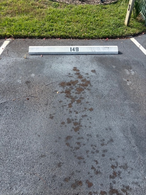 149 Club House Blvd in New Smyrna Beach, FL - Building Photo - Building Photo