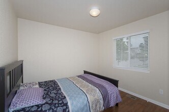 11941 Corbu Heights in Peyton, CO - Building Photo - Building Photo