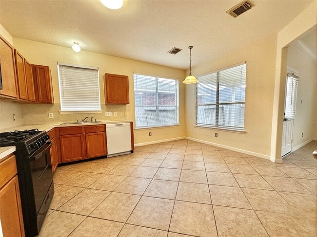 16322 Sitella Ct in Sugar Land, TX - Building Photo - Building Photo