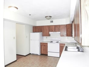 1510 Northbrook Dr, Unit A4 in Normal, IL - Building Photo - Building Photo