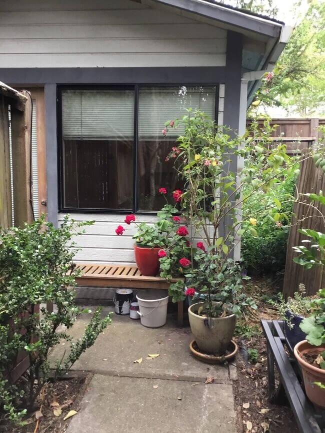 119 San Rafael Ave Apartments and Nearby San Rafael Apartments For Rent San Rafael, CA