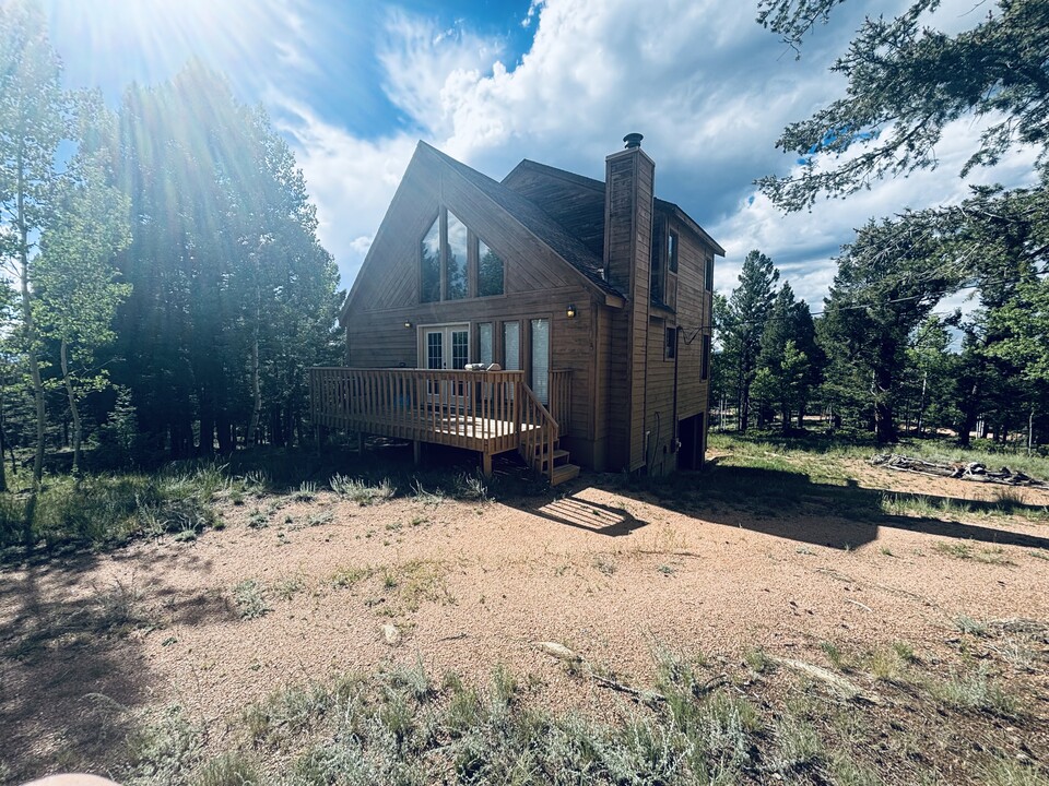 163 Lost Lake Dr in Divide, CO - Building Photo