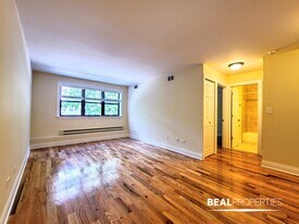 555 W Arlington Pl in Chicago, IL - Building Photo