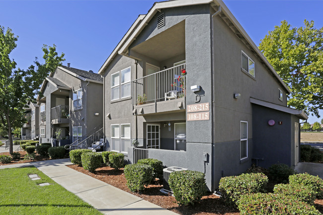 Renwick Square in Elk Grove, CA - Building Photo - Building Photo