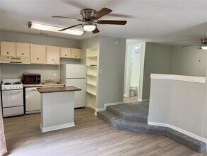 513 S Park Dr in Austin, TX - Building Photo - Building Photo