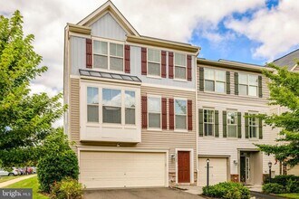 22179 Breitling Terrace in Ashburn, VA - Building Photo - Building Photo