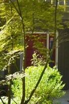 4319 Sunscape Ln in Raleigh, NC - Building Photo