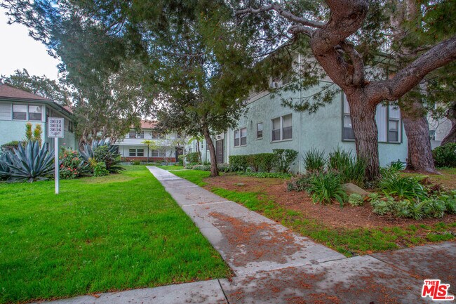 3616 Kalsman Dr in Los Angeles, CA - Building Photo - Building Photo