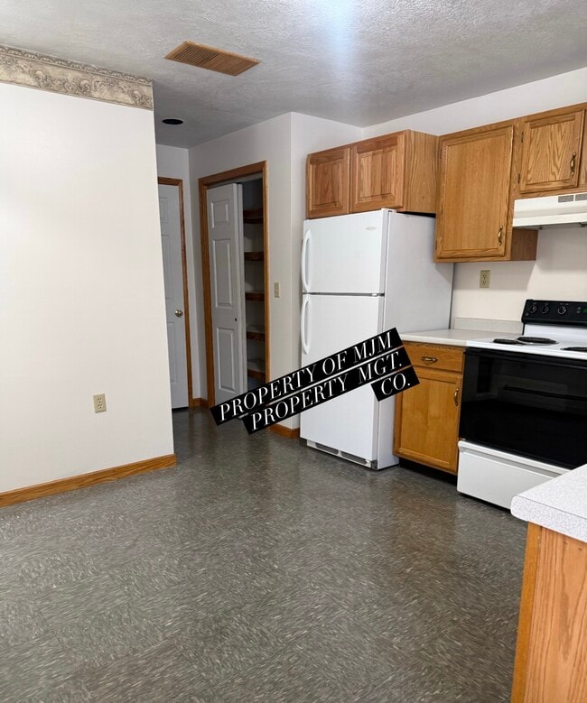 26B Rochester St, Unit B2 in Dryden, NY - Building Photo - Building Photo