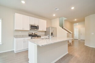 25513 Blossom Ct in Montgomery, TX - Building Photo