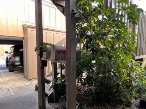 5409 Pine Creek Dr in Orlando, FL - Building Photo - Building Photo