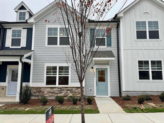 property at 243 Ribbon Rail St