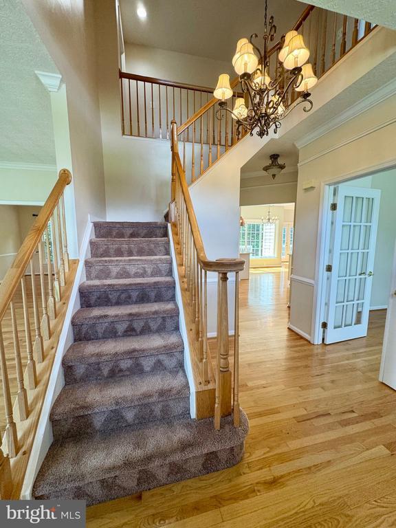 805 Winterberry Dr in Fredericksburg, VA - Building Photo - Building Photo