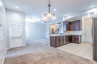 17223 Brookhollow Ct Dr in Houston, TX - Building Photo - Building Photo